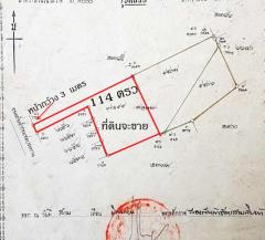 ขายที่ดิน 114 ตรว. สุขุมวิท 50 เข้าซอย 500 เมตรและเข้าซอยอีก 300 เมตร-202402221602121708592532177.jpg