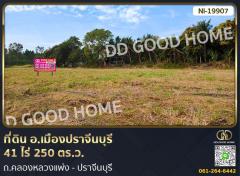 ที่ดิน อ.เมืองปราจีนบุรี 41 ไร่ 250 ตร.ว. ถ.คลองหลวงแพ่ง - ปราจีนบุรี