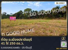 ที่ดิน อ.เมืองปราจีนบุรี 41 ไร่ 250 ตร.ว. ถ.คลองหลวงแพ่ง - ปราจีนบุรี