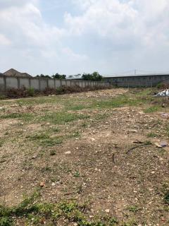 ขายที่ดินแปลงสวย 700 ตารางวา ติดถนนเทิดราชัน 39ใกล้สนามบินดอนเมือง #LB44 – 000686-202403061525561709713556240.jpg