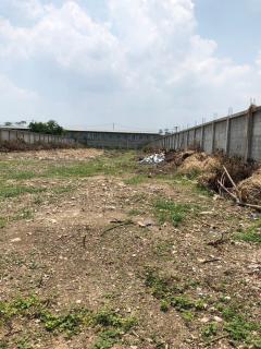 ขายที่ดินแปลงสวย 700 ตารางวา ติดถนนเทิดราชัน 39ใกล้สนามบินดอนเมือง #LB44 – 000686-202403061525571709713557106.jpg