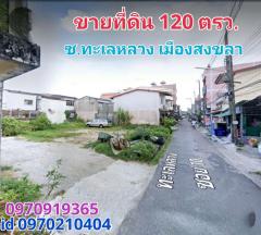 ขาย ที่ดิน แปลงสวย 120 ตร.วา ถนนทะเลหลวง เมืองสงขลา-202403061811041709723464418.jpg