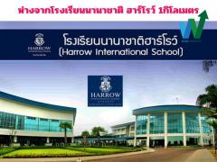 ขายบ้านเดี่ยวชั้นเดียว 42 ตรว. ใกล้สนามบินดอนเมือง,  ใกล้รถไฟฟ้าสายสีแดง-สถานีดอนเมือง.  ยื่นกู้ฟรี-202403081521431709886103796.jpg