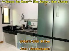 #TheEstiro,Ban Chang *** House #forRent *** Nordic Style-202403111058501710129530335.jpg