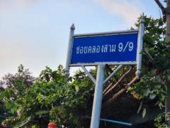 ขายด่วน ที่ดินเปล่า 52 ตรว. ถมแล้ว ซ.คลองสาม 9/9  ติดวัดพระธรรมกาย