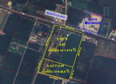ขาย ที่ดิน เปล่า แพงพวย อำเภอดำเนินสะดวก ราชบุรี  60 ไร่ ID-13815