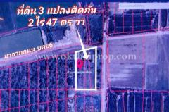 ที่ดิน ถนน3111 อ.บางไทร จ.พระนครศรีอยุธยา-202403211057201710993440632.jpg