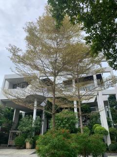PN630 ขายบ้านในสนามกอล์ฟ Windsor Park & Golf Club ถ. สุวินทวงศ์ ใกล้ Broomsgroove international school เพียง 10 นาที-202403221406571711091217404.jpg