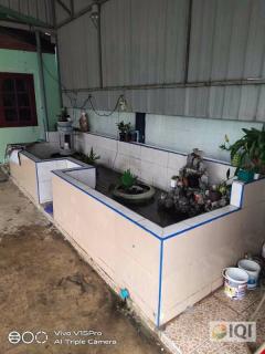 ขายบ้านเดี่ยว 2 ชั้น หมู่บ้านร่มประดู่ สาย 4 #LB266 – 000699-202404011036371711942597256.jpg