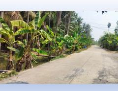 ขายที่ดินสวน 3 ไร่ ถนนทรงคนอง–ไร่ขิง นครปฐม ใกล้ถนนบรมราชชนนี เหมาะทำ ที่พักอาศัย บ้านพักคนชรา โฮมสเตย์