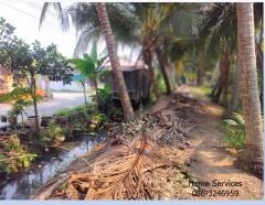 ขายที่ดินสวน 3 ไร่ ถนนทรงคนอง–ไร่ขิง นครปฐม ใกล้ถนนบรมราชชนนี เหมาะทำ ที่พักอาศัย บ้านพักคนชรา โฮมสเตย์-202404051701121712311272292.jpg