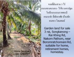 ขายที่ดินสวน 3 ไร่ ถนนทรงคนอง–ไร่ขิง นครปฐม ใกล้ถนนบรมราชชนนี เหมาะทำ ที่พักอาศัย บ้านพักคนชรา โฮมสเตย์-202404051701131712311273760.jpg