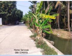 ขายที่ดินสวน 3 ไร่ ถนนทรงคนอง–ไร่ขิง นครปฐม ใกล้ถนนบรมราชชนนี เหมาะทำ ที่พักอาศัย บ้านพักคนชรา โฮมสเตย์-202404051701161712311276009.jpg