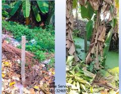 ขายที่ดินสวน 3 ไร่ ถนนทรงคนอง–ไร่ขิง นครปฐม ใกล้ถนนบรมราชชนนี เหมาะทำ ที่พักอาศัย บ้านพักคนชรา โฮมสเตย์-202404051701181712311278791.jpg