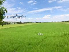 ลดราคาพิเศษ ขายที่ดินเปล่า(ไทรน้อย นนทบุรี ) 27-1-52.4 ไร่ ใกล้ บ. สหปั้นข้าว ใกล้ย่านชุมชน อ.ไทรน้อย นนทบุรี