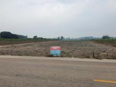 ---ขายที่ดิน 5 ไร่ ในชุมชน อ.เมือง บ้านปากดง ไตรตรึงษ์----202404290651371714348297187.jpg