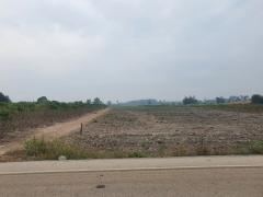 ---ขายที่ดิน 5 ไร่ ในชุมชน อ.เมือง บ้านปากดง ไตรตรึงษ์----202404290657471714348667446.jpg