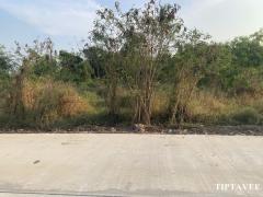 12202 ขายที่ดินปทุมธานี 1 ไร่ 78 ตร.ว. ลาดหลุมแก้ว ปทุมธานี / Latlumkaeo LAND for SALE, Pathumthani, THAILAND