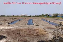 ขายที่ดินติดถนนสุขุมวิท 4 ไร่ 2 งาน (บางนา-ตราด กม.54) คลองตำหรุ ชลบุรี ที่สวยๆ ราคาดี