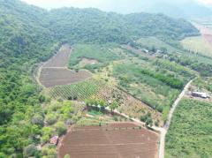 ขาย ที่ดิน เขาใหญ่ ต.​หนองน้ำแดง​ อ.ปากช่อง 11 ไร่ ​ด้านหลังติดภูเขา น่าอยู่มาก​-202405040131151714761075078.jpg