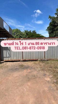 ขายที่ดินติดถนน อุดรธานี -จ.หนองบัวลำภู-202405041247001714801620448.jpg