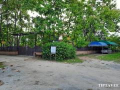 22418 ให้เช่าที่ดินเชียงใหม่ ที่ดินถนนเลียบทางรถไฟ ยางเนิ้ง สารภี เชียงใหม่ Land for Rent, on Railway roadside, YangNoeng, Saraphi, Chiangmai, THAILAND.