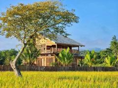 บ้านสวนบรรยากาศดี สไตล์รีสอร์ท น้ำดีดินดี วิวเขาวิวทุ่งนา 360 องศา อ.แม่แตง จ.เชียงใหม่-202405071318401715062720473.jpg