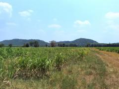 ขาย ที่ดิน ME182 ทำเลดี รูปแปลงสวย วิวเขา วัดสุวรรณ บ่อทอง ชลบุรี บ่อทอง ชลบุรี 15 ไร่ 40 ตร.วา ไฟฟ้า ปะปา ไม่ต้องถม ใกล้ถนน 331 เพียง 14 Km-202405111127151715401635199.jpg