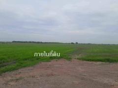 ขายที่ดินเปล่า 30 ไร่ ต.ดงละคร ห่างวัดศรีจุฬา 4 กม ราคา 2.7 แสนต่อไร่-202405131413591715584439508.jpg