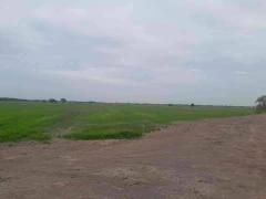 ขายที่ดินเปล่า 30 ไร่ ต.ดงละคร ห่างวัดศรีจุฬา 4 กม ราคา 2.7 แสนต่อไร่-202405131414201715584460005.jpg