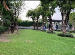ให้เช่า ทาวน์โฮม N933 พาทิโอ พัฒนาการ 170 ตรม. 42 ตร.วา-202405152043141715780594694.jpg