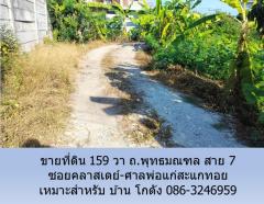 ขายที่ดิน 159 วา ถ.พุทธมณฑล สาย 7 ซอยคลาสเดย์-ศาลพ่อแก่สะแกทอย เหมาะสำหรับบ้าน โกดัง-202405161528241715848104947.jpg