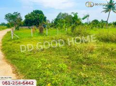 ที่ดิน อ.เมืองชัยภูมิ 40 ตร.ว. ชัยภูมิ-202405211246021716270362056.jpg