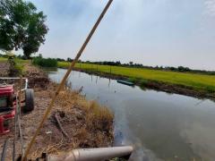 *ขายที่ดินเปล่า(ที่ดินการเกษตร) (แบ่งซื้อได้) ติดถนนเลียบคลองรากผักชี* (N.1004)-202405211511181716279078487.jpg