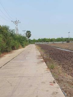 *ขายที่ดินเปล่า(ที่ดินการเกษตร) (แบ่งซื้อได้) ติดถนนเลียบคลองรากผักชี* (N.1004)-202405211511211716279081343.jpg