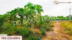 ที่ดิน อ.โพธาราม 1 ไร่ 383.2 ตร.ว. ราชบุรี-202405211554141716281654430.jpg