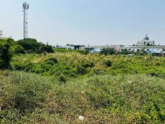 ขายที่ดินสวยซอยทุ่งเศรษฐี17 ใกล้Megaบางนา 45,000/วา (N.1006)-202405211624511716283491269.jpg