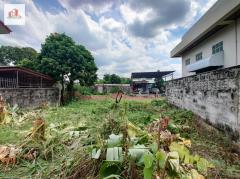 ขาย ที่ดิน ถมแล้ว พุทธมณฑลสาย 3 ม.เศรษฐกิจ 86 ตร.วา-202405271902171716811337483.jpg