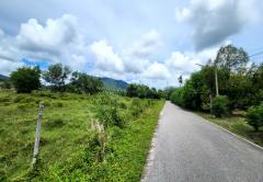 ขายที่ดิน เขายายดา ทางหลวงชนบท ถนนสุขุมวิท ตำบลตะพง อำเภอเมือง ระยอง-202405291439451716968385543.jpg