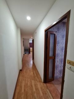 ให้เช่า ตึก 4.5 ชั้น ถ.อุดมสูข ซ. สุขุมวิท 103สวยมาก (N.1018)-202405301409211717052961601.jpg