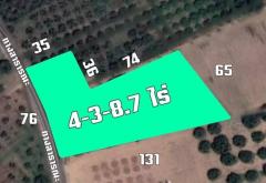 พลาดไม่ได้ สวนลำไยติดถนนทางหลวง วิวภูเขา 4-3-8.7 ไร่ (1,908.7 ตร.ว.)ใกล้โรงพยาบาลป่าซาง ลำพูน-202406020136301717266990043.jpg