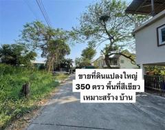 ขายที่ดิน-350-ตารางวา-พุทธมณฑลสาย1-2-ซอย