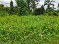 ขายด่วน ที่ดิน ถนนเฉลิมพระเกียรติ ร.9 ซอย 47 (N.1021)-202406050910071717553407730.jpg