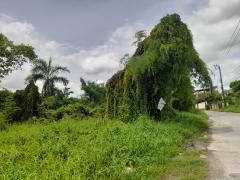 ขายด่วน ที่ดิน ถนนเฉลิมพระเกียรติ ร.9 ซอย 47 (N.1021)-202406050910081717553408450.jpg