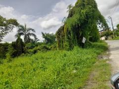 ขายด่วน ที่ดิน ถนนเฉลิมพระเกียรติ ร.9 ซอย 47 (N.1021)-202406050910091717553409149.jpg