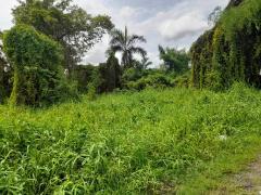 ขายด่วน ที่ดิน ถนนเฉลิมพระเกียรติ ร.9 ซอย 47 (N.1021)-202406050910091717553409856.jpg