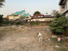 ขายที่ดินถมแล้ว ซอยรัชดา 32 พร้อมบ้านชั้นเดียว 1 หลัง (N.1028)-202406051256501717567010623.jpg