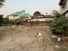 ขายที่ดินถมแล้ว ซอยรัชดา 32 พร้อมบ้านชั้นเดียว 1 หลัง (N.1028)-202406081314231717827263567.jpg