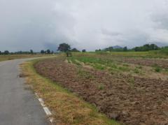 ขาย ที่ดิน ห่างจาก ตัวเมือง ชลบุรี ประมาณ 10 กม.ชลบุรี 30 ไร่ 57 ตร.วา เหมาะทำโครงการจัดสรร-202406082334261717864466812.jpg