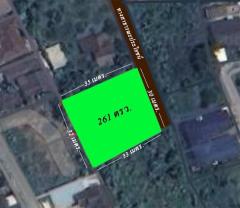 ขายสวนผลไม้ 261 ตร.ว. ใกล้ตลาด, ศาลากลาง, โรงพยาบาลนครพิงค์ แม่ริม เชียงใหม่-202406261327201719383240864.jpg